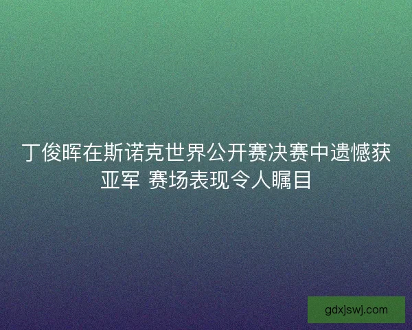 丁俊晖在斯诺克世界公开赛决赛中遗憾获亚军 赛场表现令人瞩目