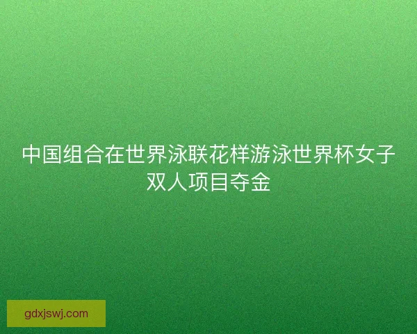 中国组合在世界泳联花样游泳世界杯女子双人项目夺金