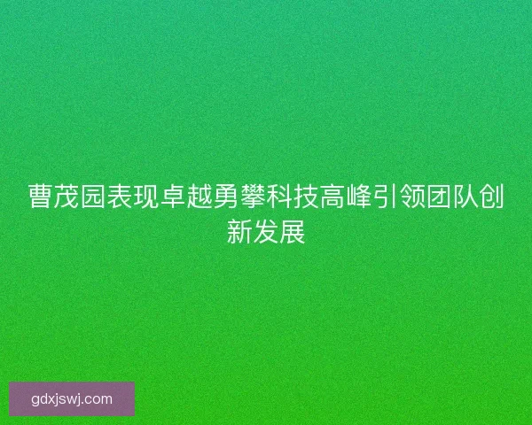 曹茂园表现卓越勇攀科技高峰引领团队创新发展
