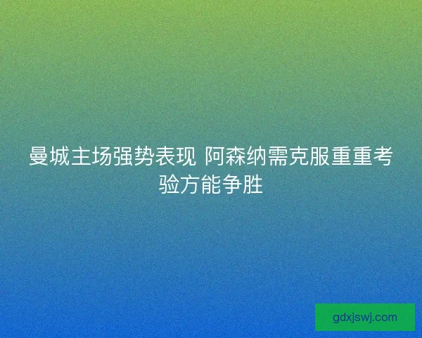 曼城主场强势表现 阿森纳需克服重重考验方能争胜