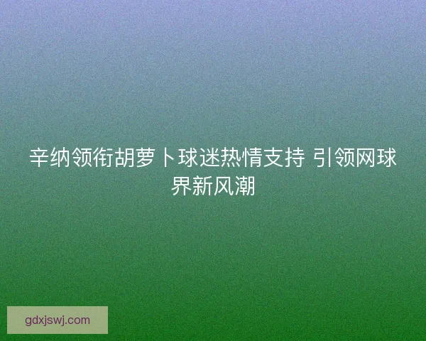 辛纳领衔胡萝卜球迷热情支持 引领网球界新风潮