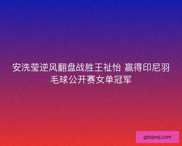 安洗莹逆风翻盘战胜王祉怡 赢得印尼羽毛球公开赛女单冠军